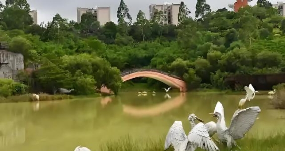 防城港旅游攻略：十大必访景点推荐