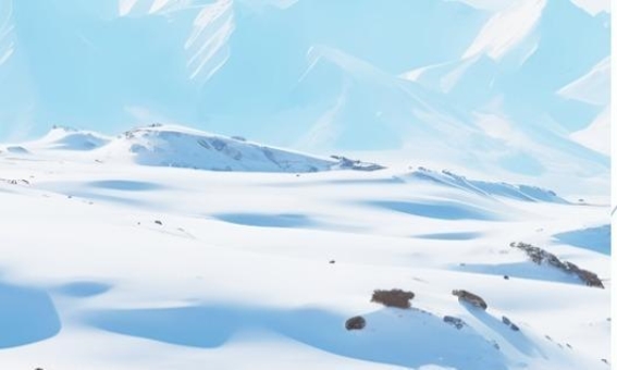 小雪养生宝典：顺应自然，温补养生