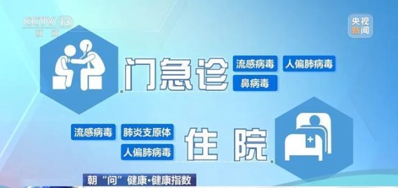 甲流疫情警报：如何应对和预防