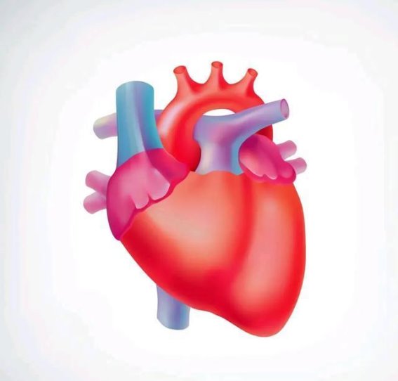 糖尿病与五脏六腑：深度剖析高血糖对身体的全方位影响