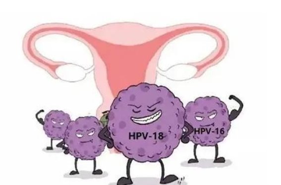 九价HPV疫苗接种全面指南：保护女性健康的必经之路