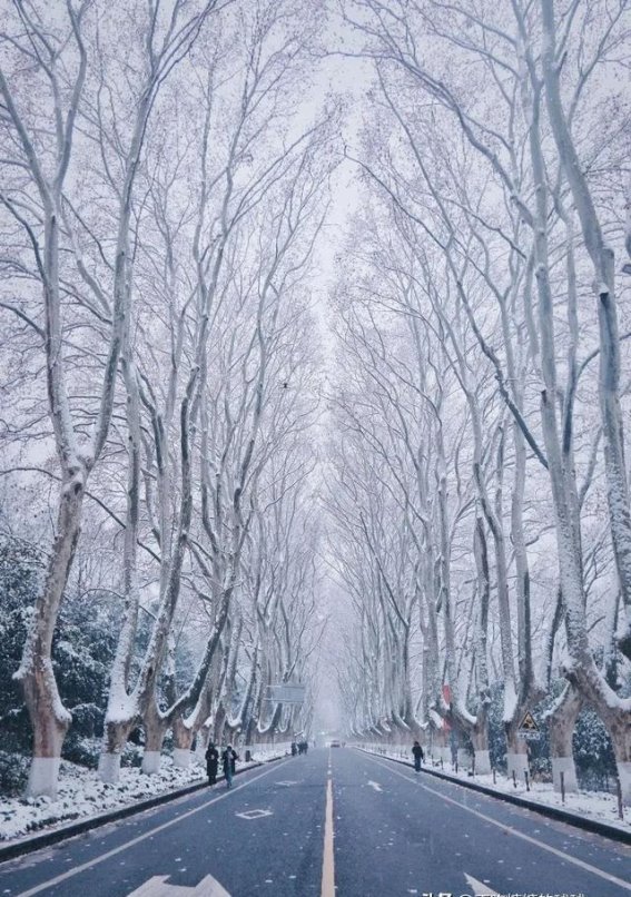 冬季雪景，探访中国七大梦幻雪域城市