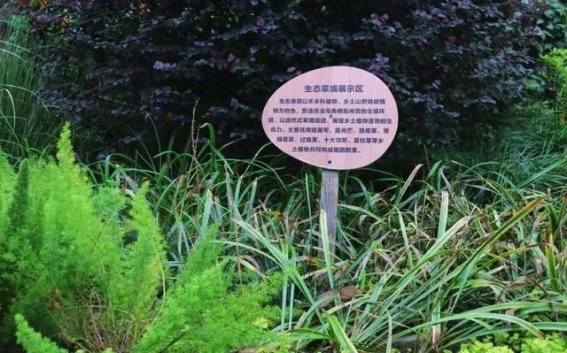 上城区生物多样性乐园：打造人与自然共生的新型城市