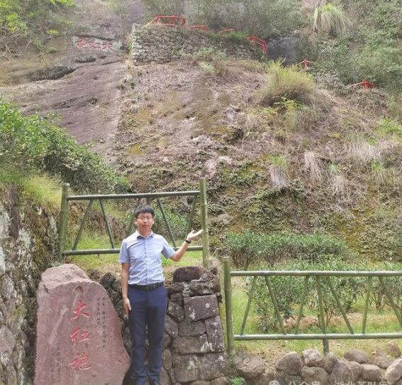 走进武夷山的茶香世界：一次深度的岩茶文化之旅