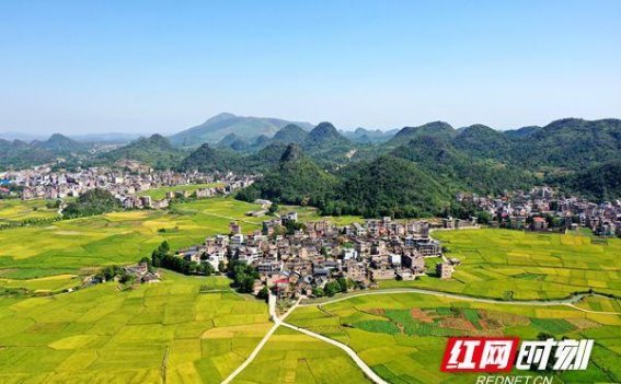 湖南新田：金秋田园如诗如画，丰收的喜悦交织成多彩画卷
