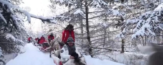 黑龙江冰雪游：冬季经济的新引擎