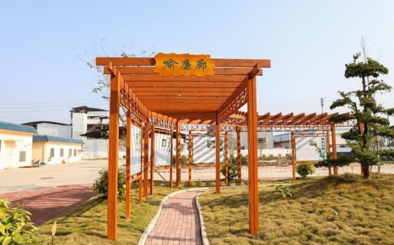 荷叶的廉洁之道：坚守本心，守护清廉文化