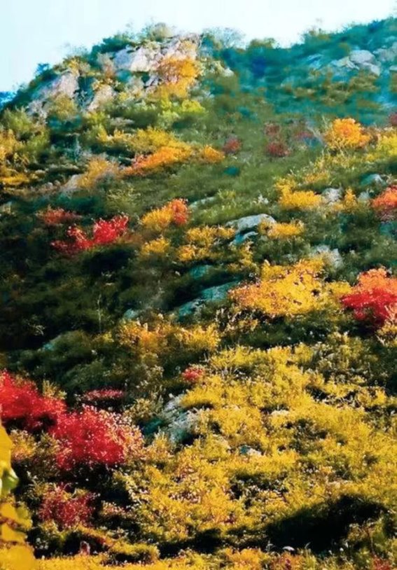 金秋秦岭，山川如画，岁月如歌