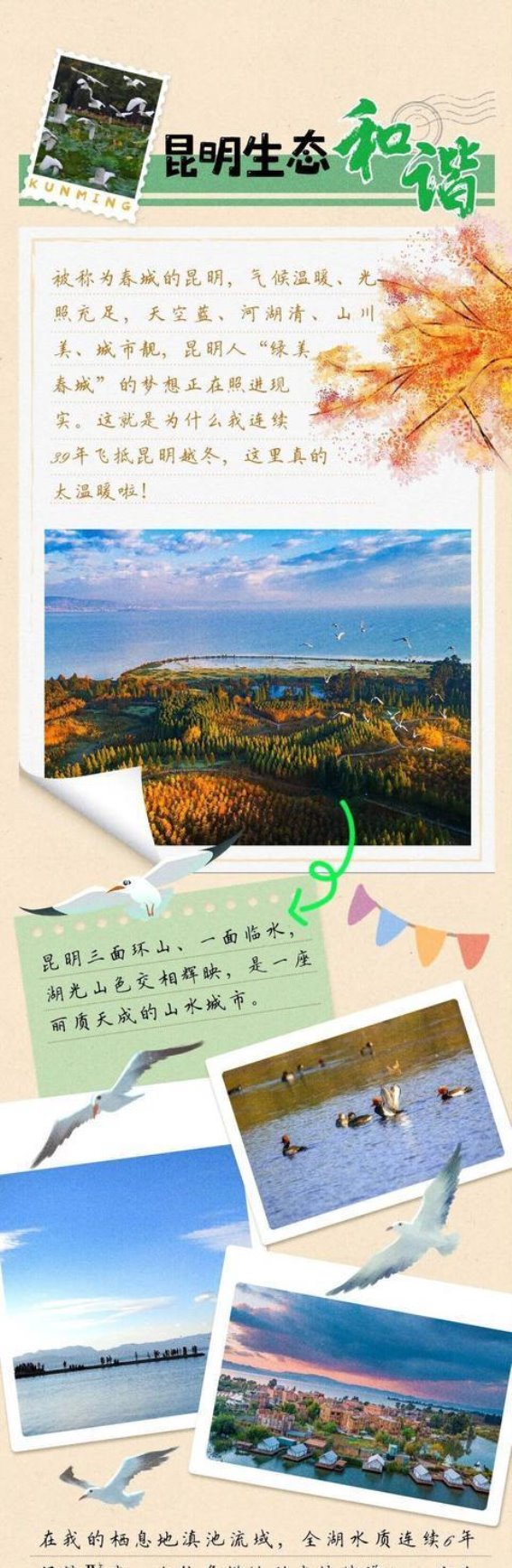 冬日的昆明：西伯利亚朋友们的温暖邀请