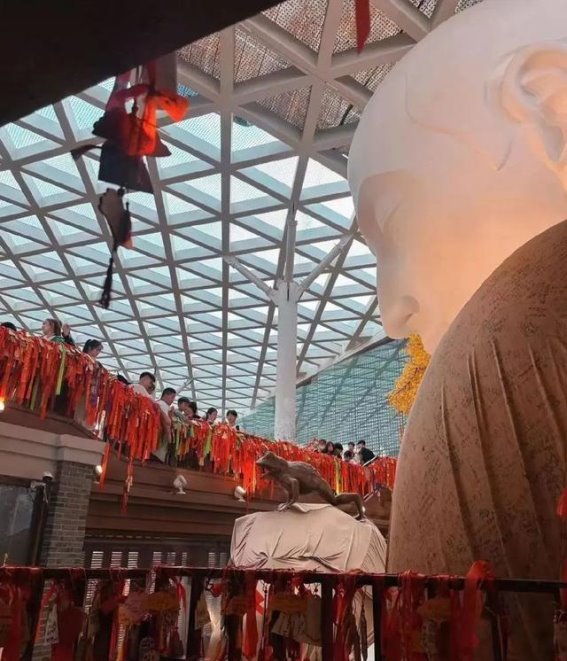 这有山的跨年盛宴与问蟾亭焕新：冬日里的文化与心灵体验