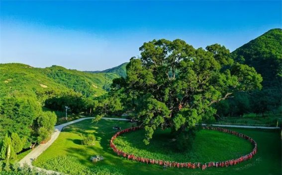 崇信：文化与旅游的深度融合，开启康养新篇章