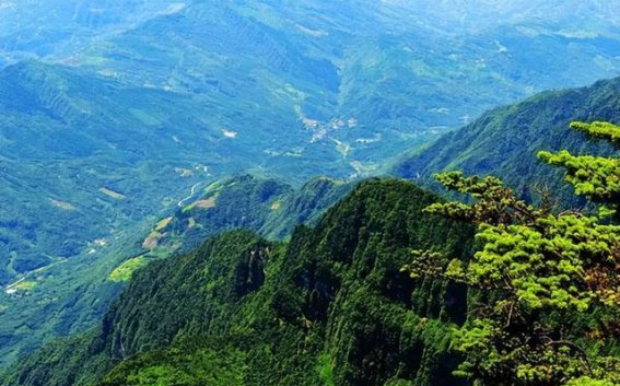 探寻峨眉山：自驾游全攻略