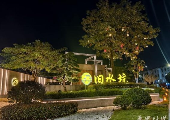 星光下的旧水坑：夜色中的魅力重生