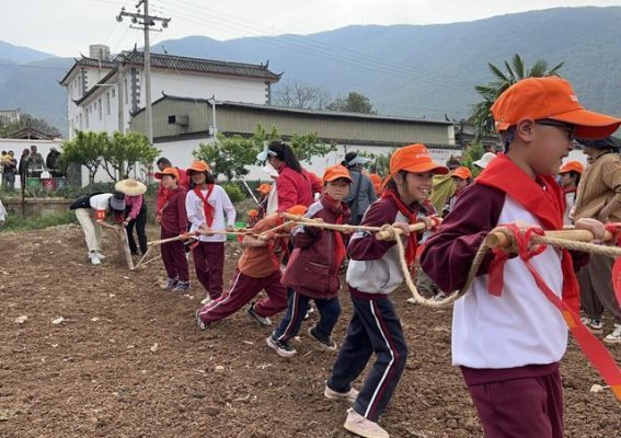 以花为媒，开南街道的研学探索与乡村振兴之路