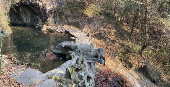 灵龙泉的传奇与宁波的深厚底蕴