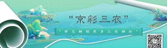 一身白毛却叫乌鸡，到底有啥特征能如此与众不同