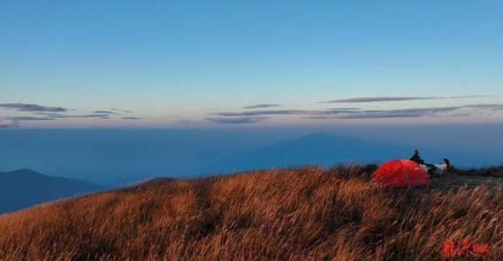 天头岭的芦苇海：初冬里的宁静之美