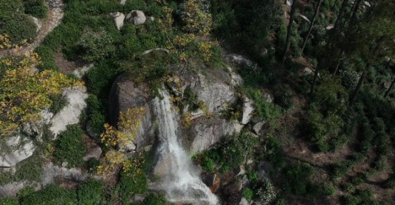 龙袍山：茶香缭绕，瀑布飞流的秘境之旅