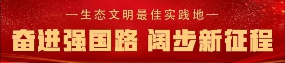 崇明江堤的华丽蜕变：从生命防线到市民乐园