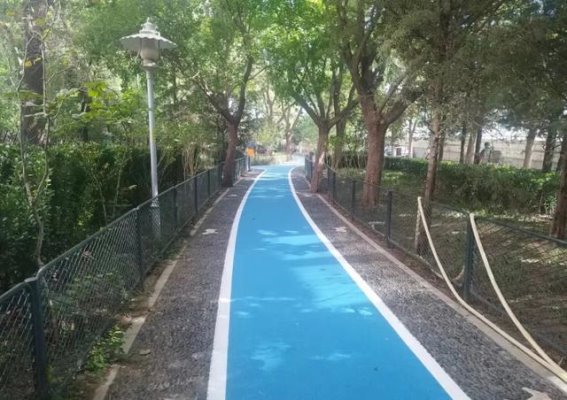 四大公园焕新亮相，打造全龄友好城市新景象