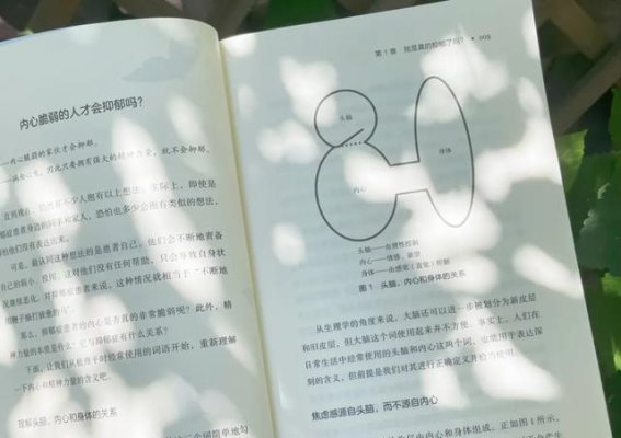抑郁症患者的坚韧之旅