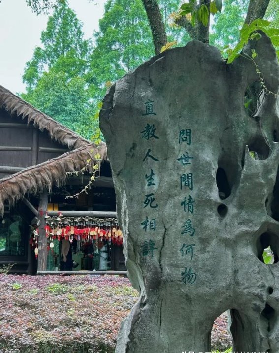 探索绍兴：感受鲁迅与江南古韵的融合