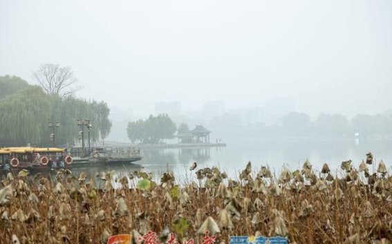 冬雨中的大明湖：烟雾弥漫的诗意景致