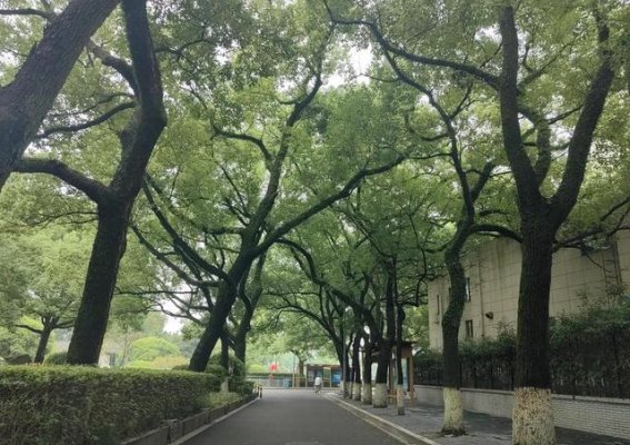 宁波的秋日画卷