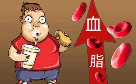 如何识别血脂升高？这3个迹象不能忽视