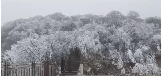 米仓山的雪