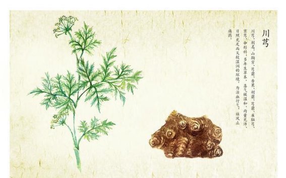 偏头痛的中医治疗方——三剂见效