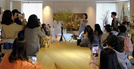 春日芳华：2025深圳春花集香蜜月季赏盛大启幕