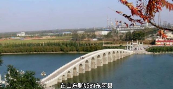 东阿县的历史与文化