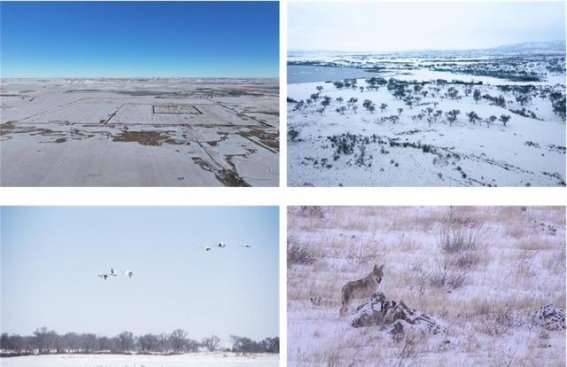 2025正蓝旗浑善达克冰雪节：在冰雪中探索北疆的魅力