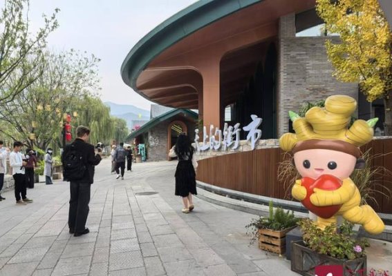 在济南的秋天，网络达人们探寻城市的独特魅力