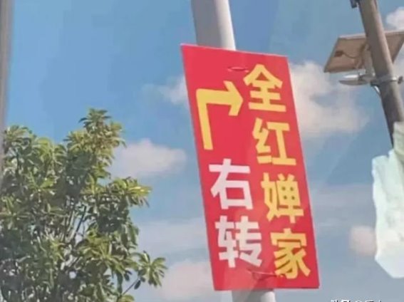 全红婵回乡风波：经济利益与个人隐私的尖锐对抗