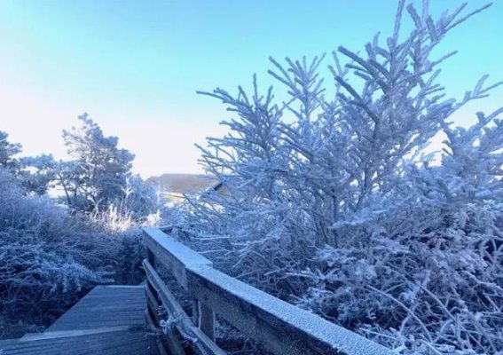 福建冬天来袭：雪景、冰冻、大风，10天的极寒体验