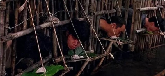 揭秘妙瓦底：高薪陷阱背后的恐怖地狱