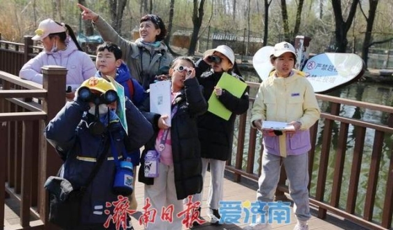 春日鸟岛探秘：与大自然亲密接触的教育之旅