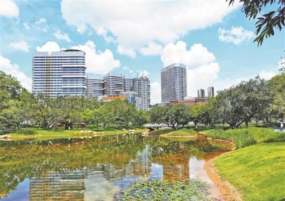 广东省人民医院深圳医院挂牌 助力宝安医疗服务提升