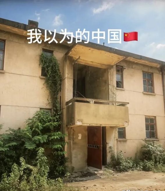 出国就爱国，国外根本看不到真实的中国，国内社交软件打破了藩篱