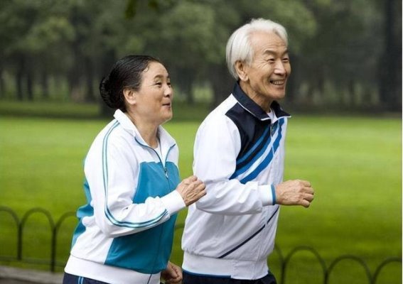 冬季养生新策略：食疗与调理助力失眠与关节痛缓解，温暖一整个季节
