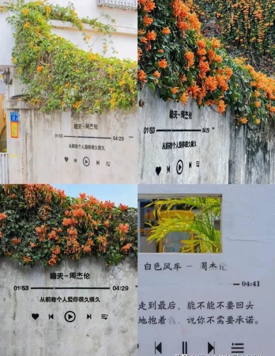 厦门：冬日海岛的文艺浪漫之旅