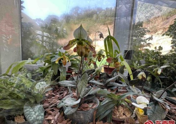 福州三江口植物园开园：领略自然之美，感悟生态魅力