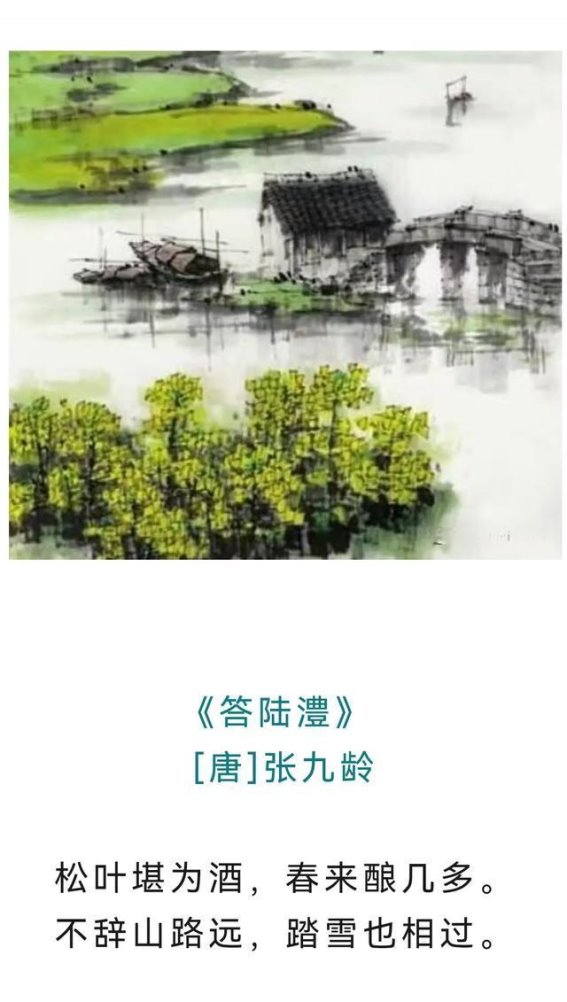 田园诗的心灵栖息地：在静谧中感受自然的美