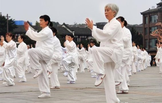 揭秘养心高手的智慧：不是单一秘方，而是生活方式