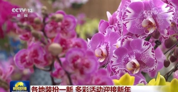 各地庆新年活动丰富多彩，传统与现代交织庆佳节