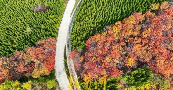 济南龙鼎大道扁石山：渣土山的绿色蜕变