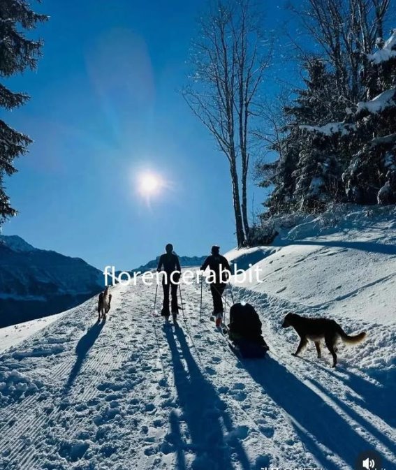詹姆斯·米德尔顿一家冬季滑雪之旅