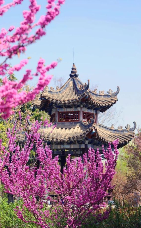 立春时节，万物复苏，抓住假期尾巴尽享临沂之美